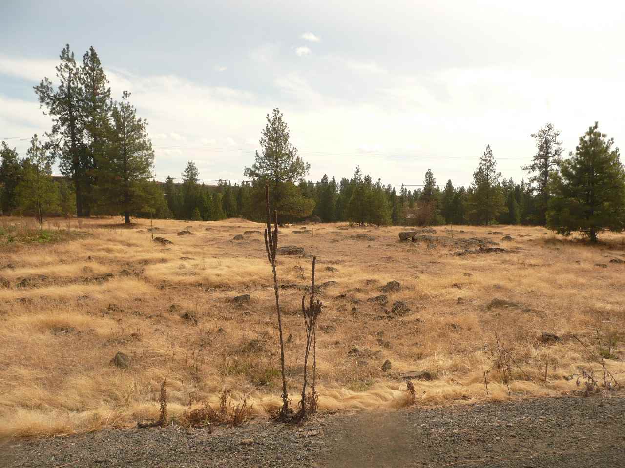 34000 South Badger Lake Road Cheney, WA 99004 - Photo 11 of 13
