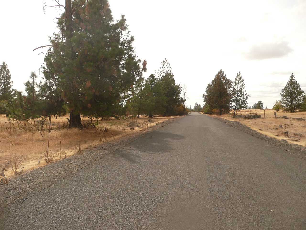 34000 South Badger Lake Road Cheney, WA 99004 - Photo 12 of 13