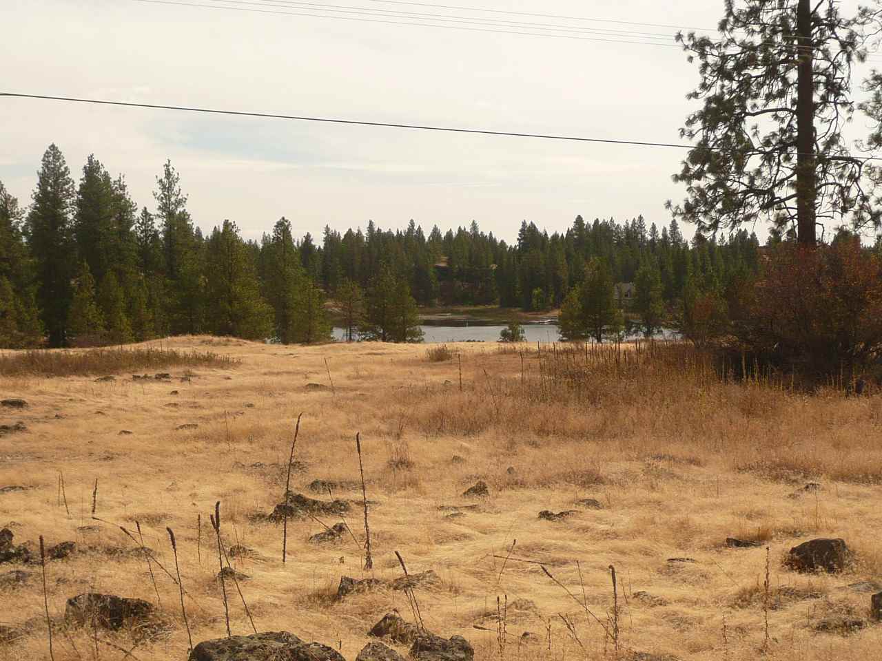 34000 South Badger Lake Road Cheney, WA 99004 - Photo 3 of 13