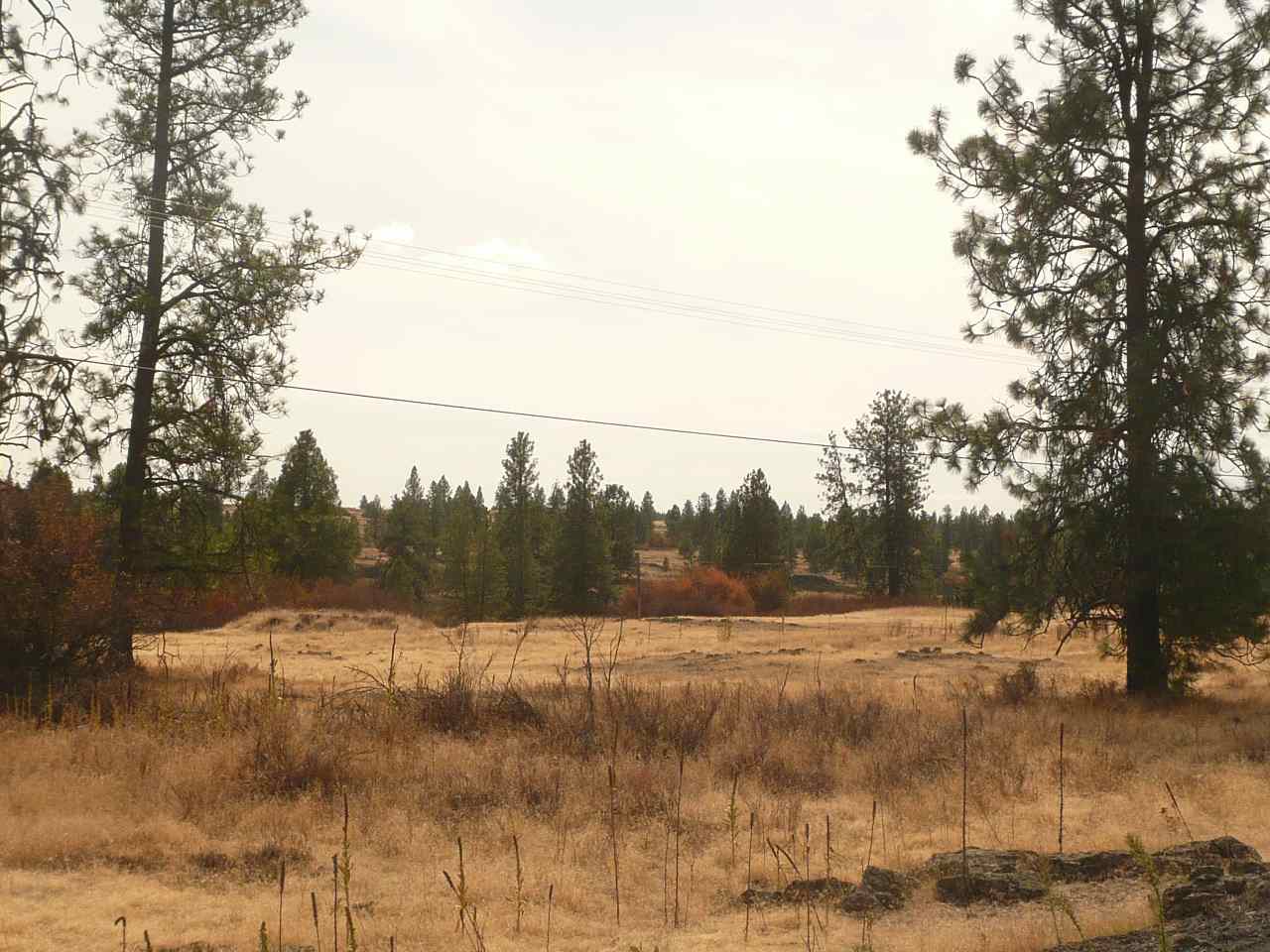 34000 South Badger Lake Road Cheney, WA 99004 - Photo 4 of 13