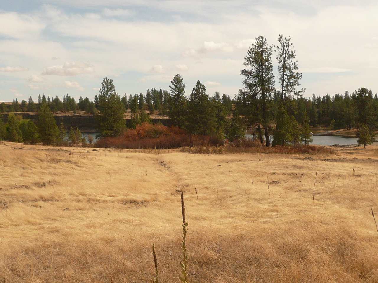 34000 South Badger Lake Road Cheney, WA 99004 - Photo 6 of 13