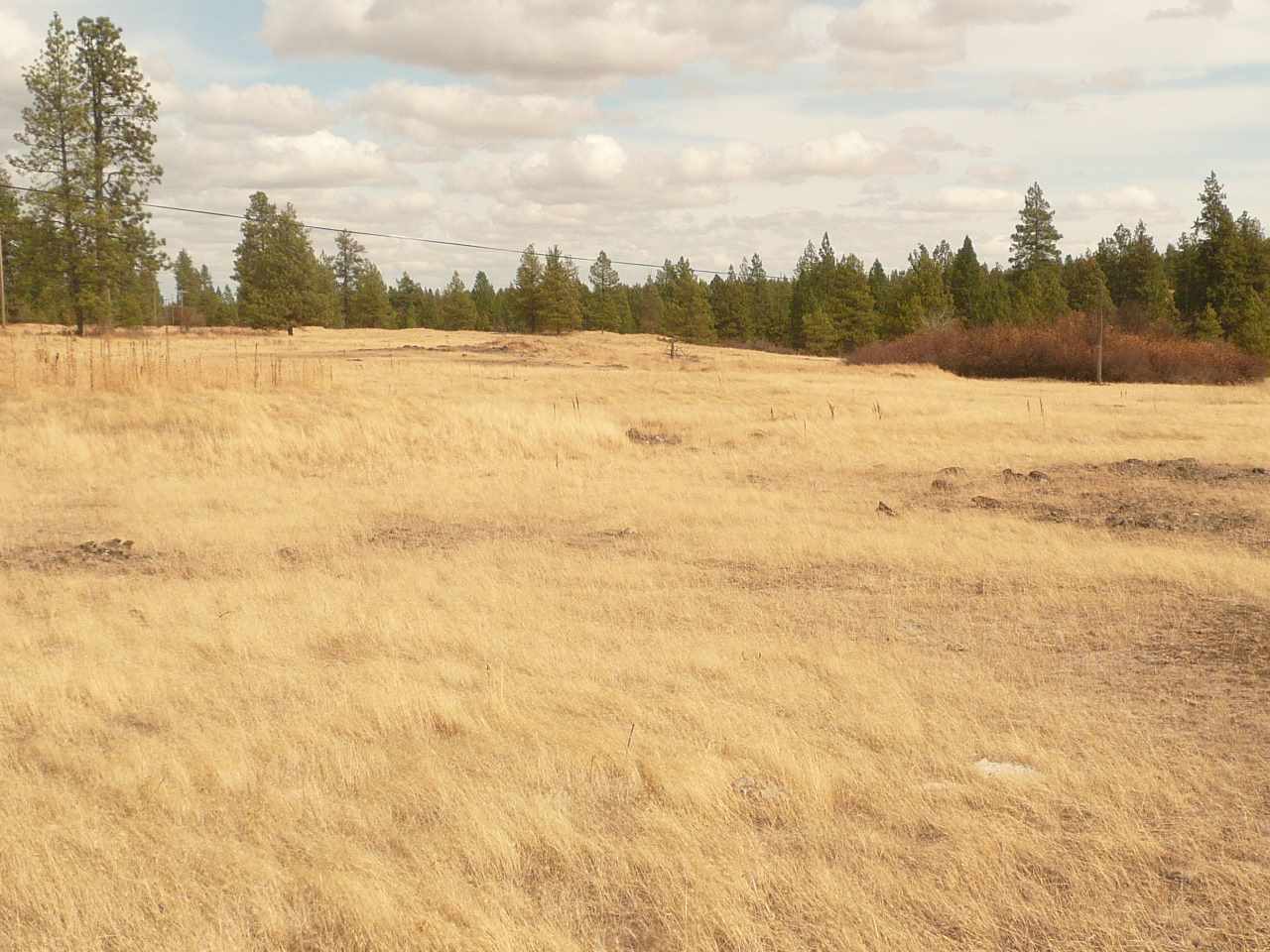 34000 South Badger Lake Road Cheney, WA 99004 - Photo 7 of 13