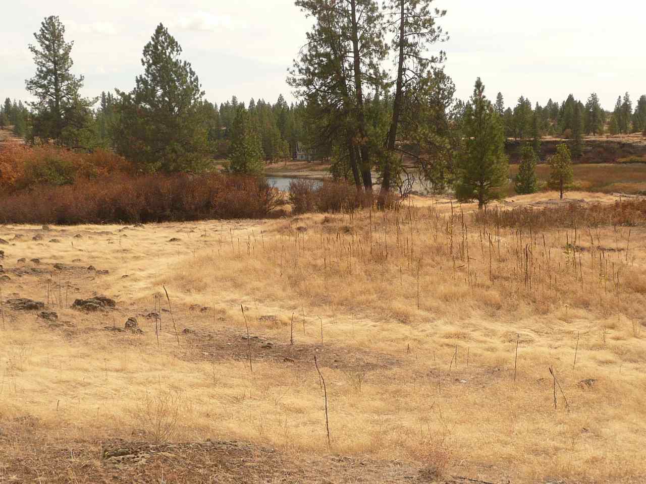 34000 South Badger Lake Road Cheney, WA 99004 - Photo 8 of 13