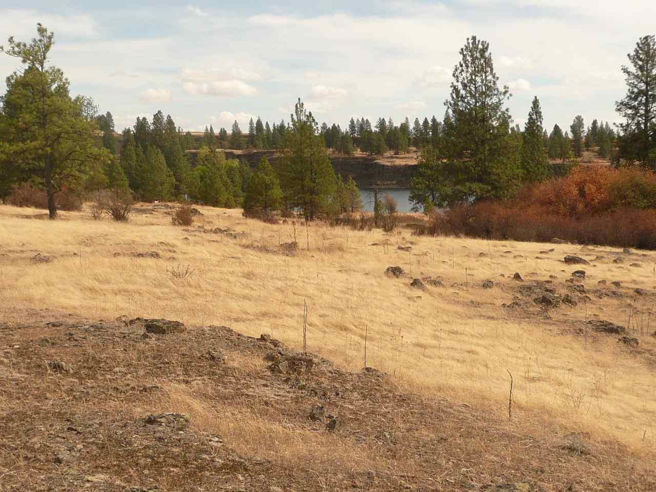 34000 South Badger Lake Road Cheney, WA 99004 - Photo 9 of 13