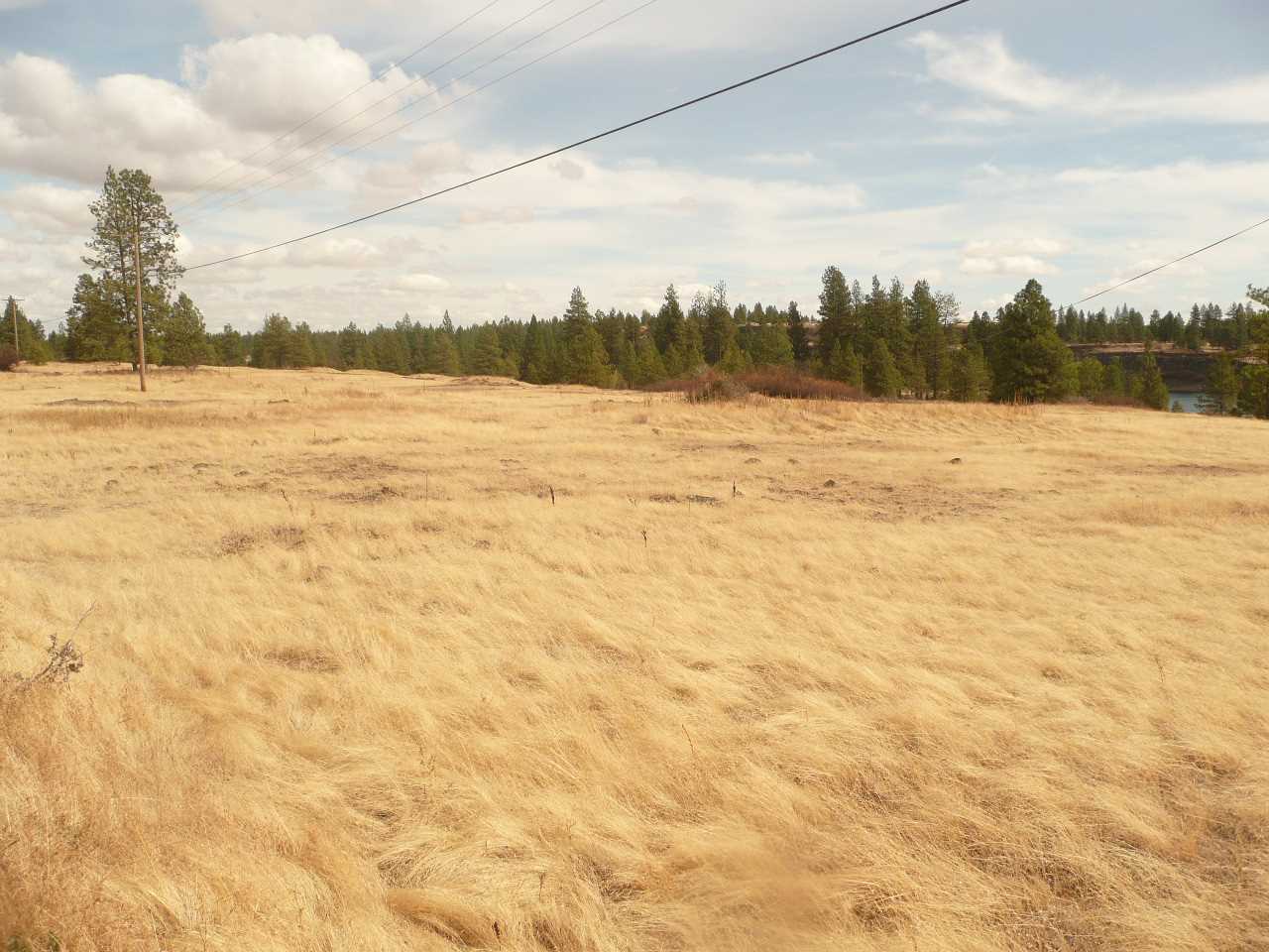 34000 South Badger Lake Road Cheney, WA 99004 - Photo 10 of 13