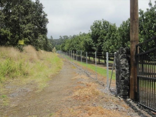 94-3220 Lot 8 Lorenzo Road Naalehu, HI 96772 - Photo 14 of 14 a view of a yard with plants and large trees