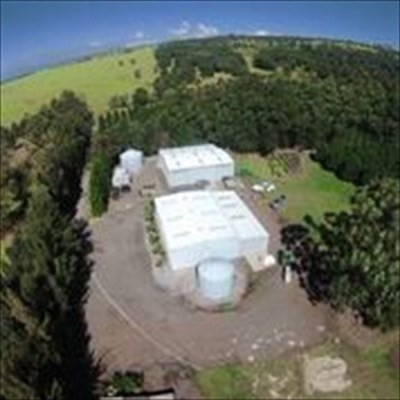 94-3220 Lot 8 Lorenzo Road Naalehu, HI 96772 - Photo 5 of 14 a view of a pathway with a yard