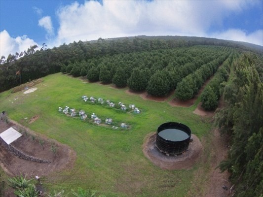 94-3220 Lot 8 Lorenzo Road Naalehu, HI 96772 - Photo 9 of 14 a view of a golf course with a garden