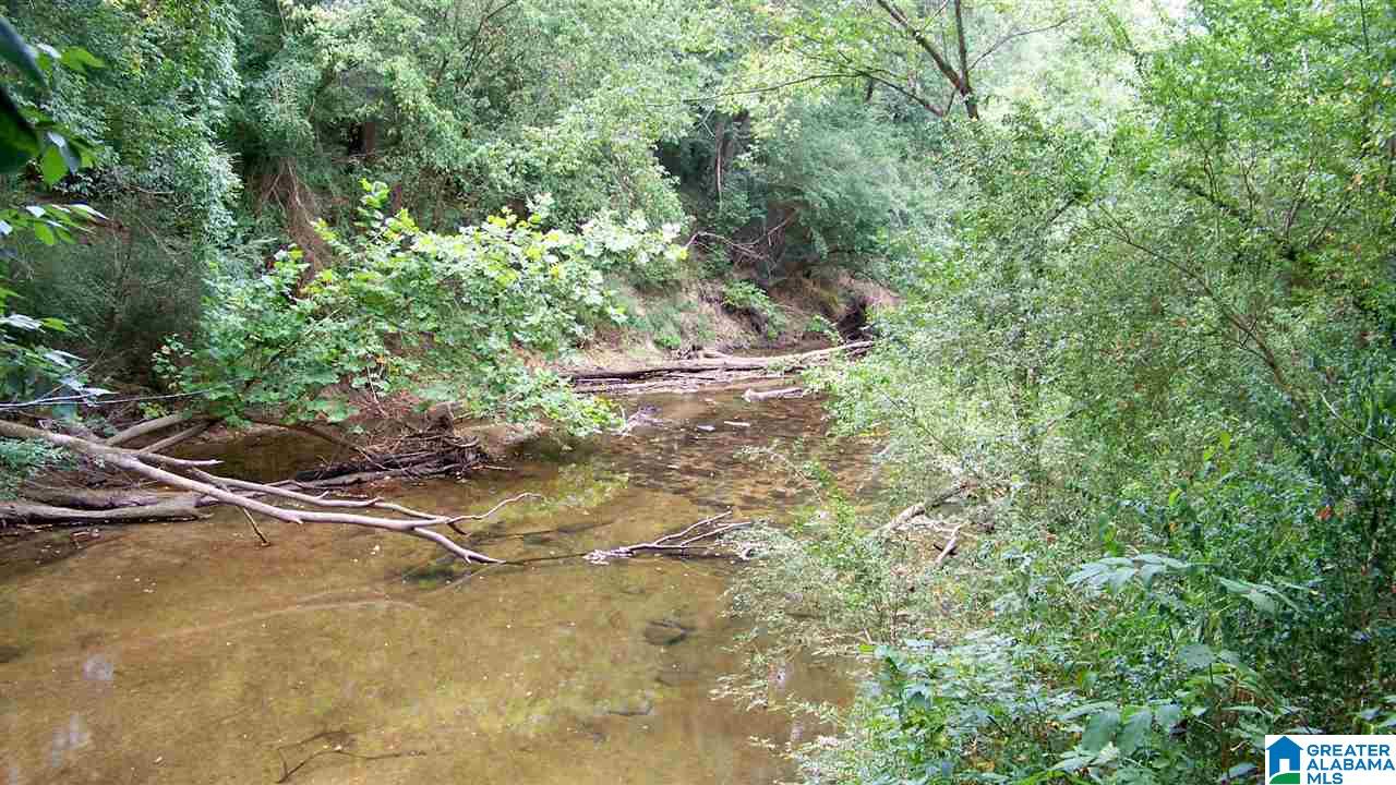 Hanson Road, Unit 33 Horton, AL 35980 - Photo 1 of 9