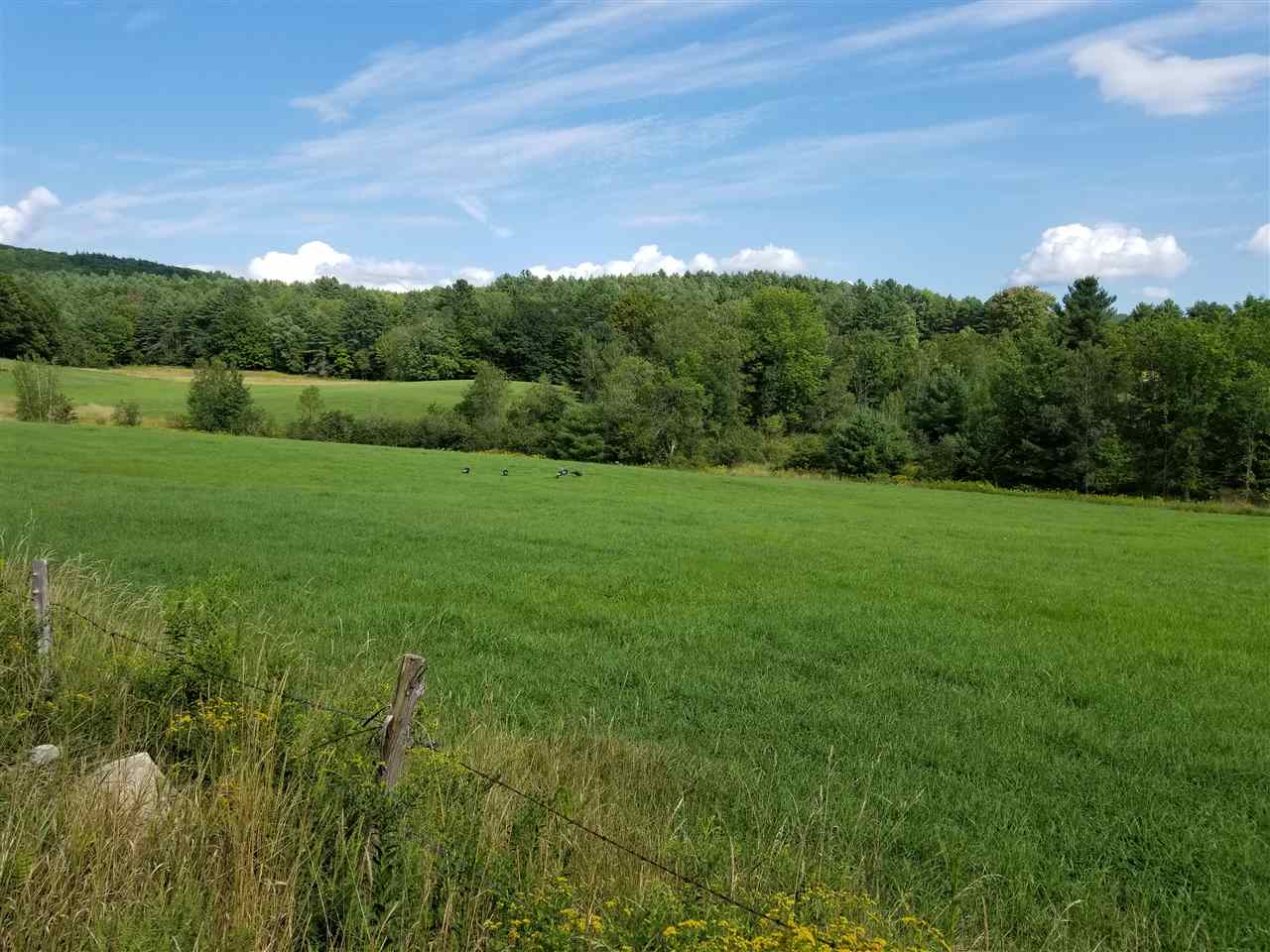 1447 Flamstead Road Chester, VT 05143 - Photo 3 of 7