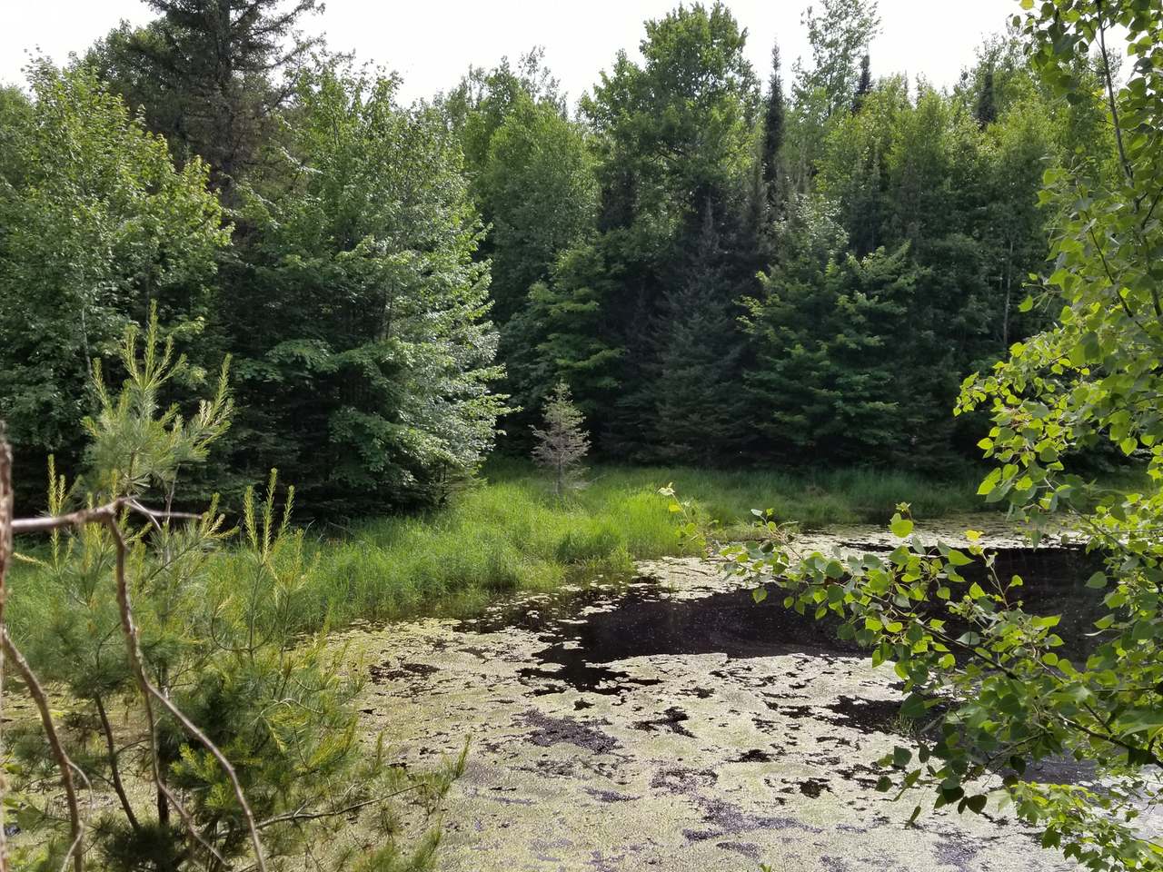 Lot 31 Nathan Pass Mercer, WI 54547 - Photo 3 of 26 Gallery Image 3