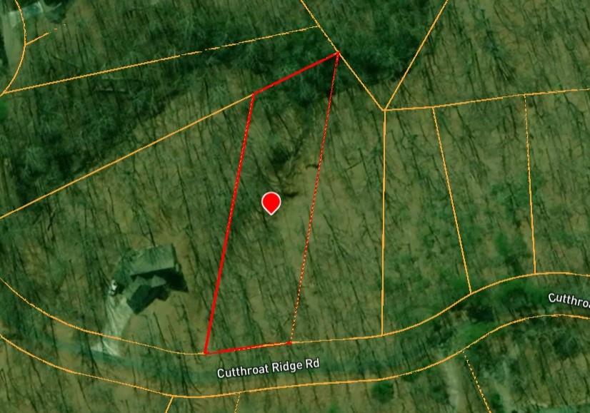 0 Cutthroat Ridge Road Jasper, GA 30143 - Photo 2 of 2