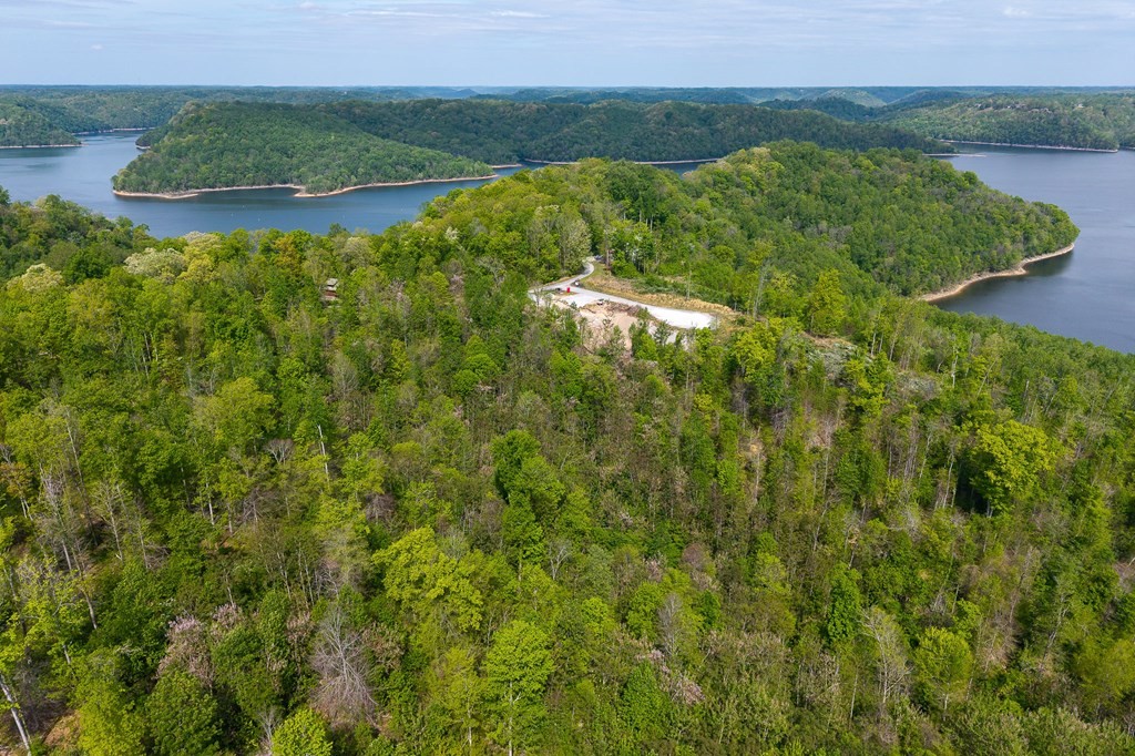 75 Back Bone Road Sparta, TN 38583 - Photo 11 of 15 a view of a lake with a yard