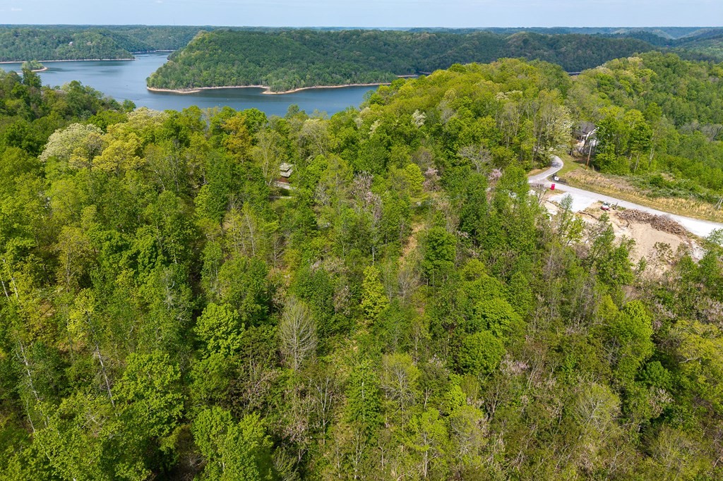 75 Back Bone Road Sparta, TN 38583 - Photo 13 of 15 a view of a lake from a yard