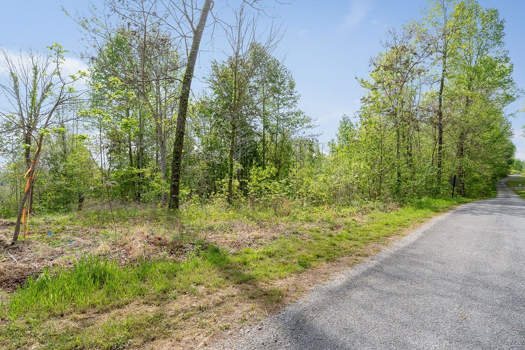 75 Back Bone Road Sparta, TN 38583 - Photo 15 of 15 a view of outdoor space and green space