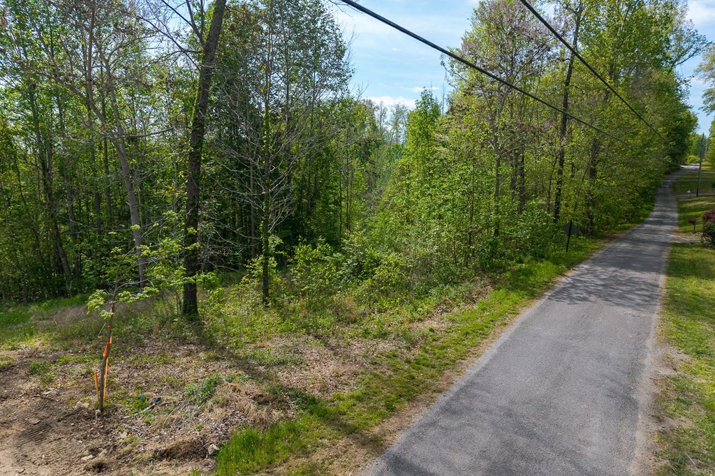 75 Back Bone Road Sparta, TN 38583 - Photo 2 of 15 a view of a yard with plants and a bench