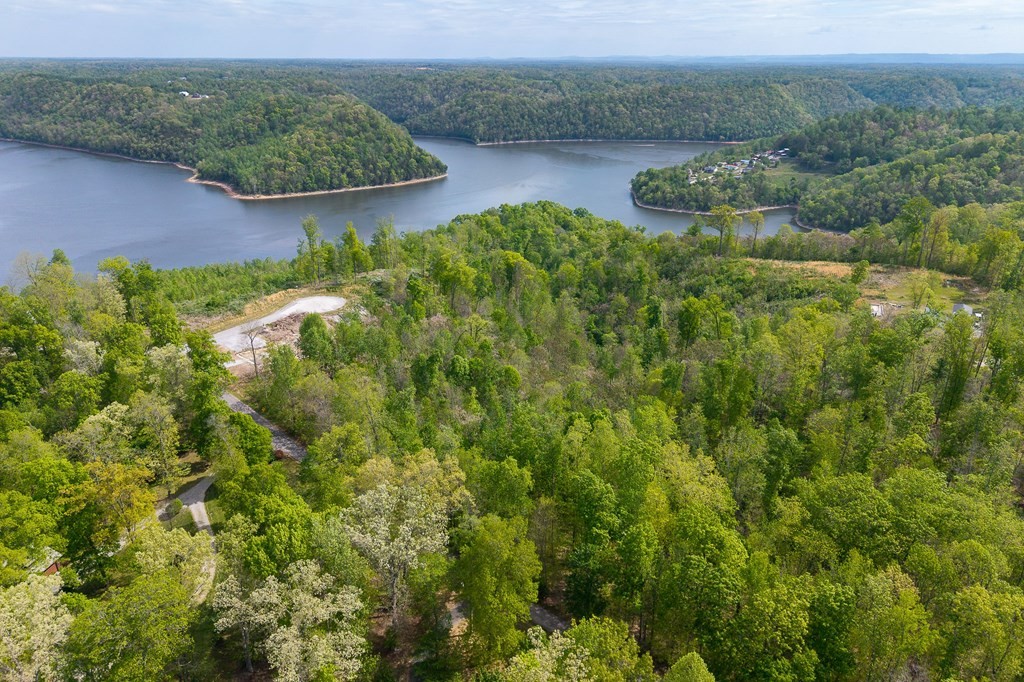 75 Back Bone Road Sparta, TN 38583 - Photo 8 of 15 an aerial view of green landscape with trees houses and lake view