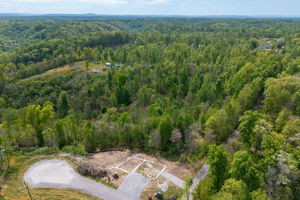 75 Back Bone Road Sparta, TN 38583 - Photo 10 of 15 an aerial view of a house with a yard