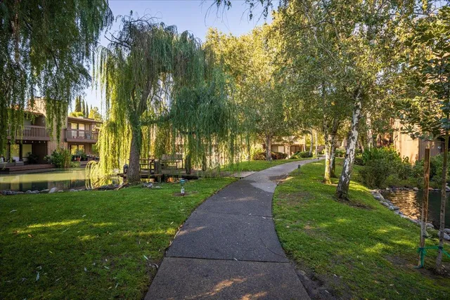a view of a park with large trees