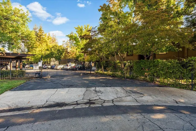 a view of street with with lots of trees