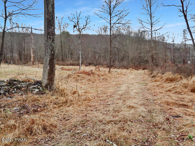 5 Blossom Road Lackawaxen, PA 18435 - Photo 9 of 26