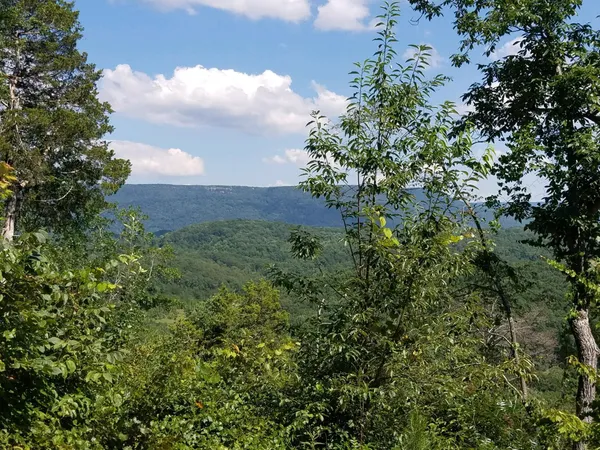 $419,000 | 2352 Byrds Chapel Road, Rising Fawn, GA 30738