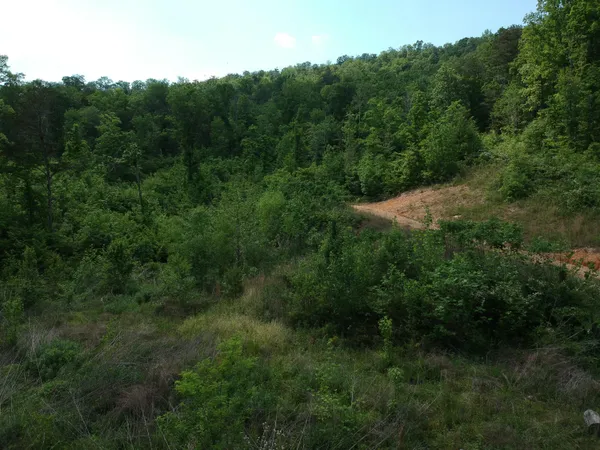 $419,000 | 2352 Byrds Chapel Road, Rising Fawn, GA 30738