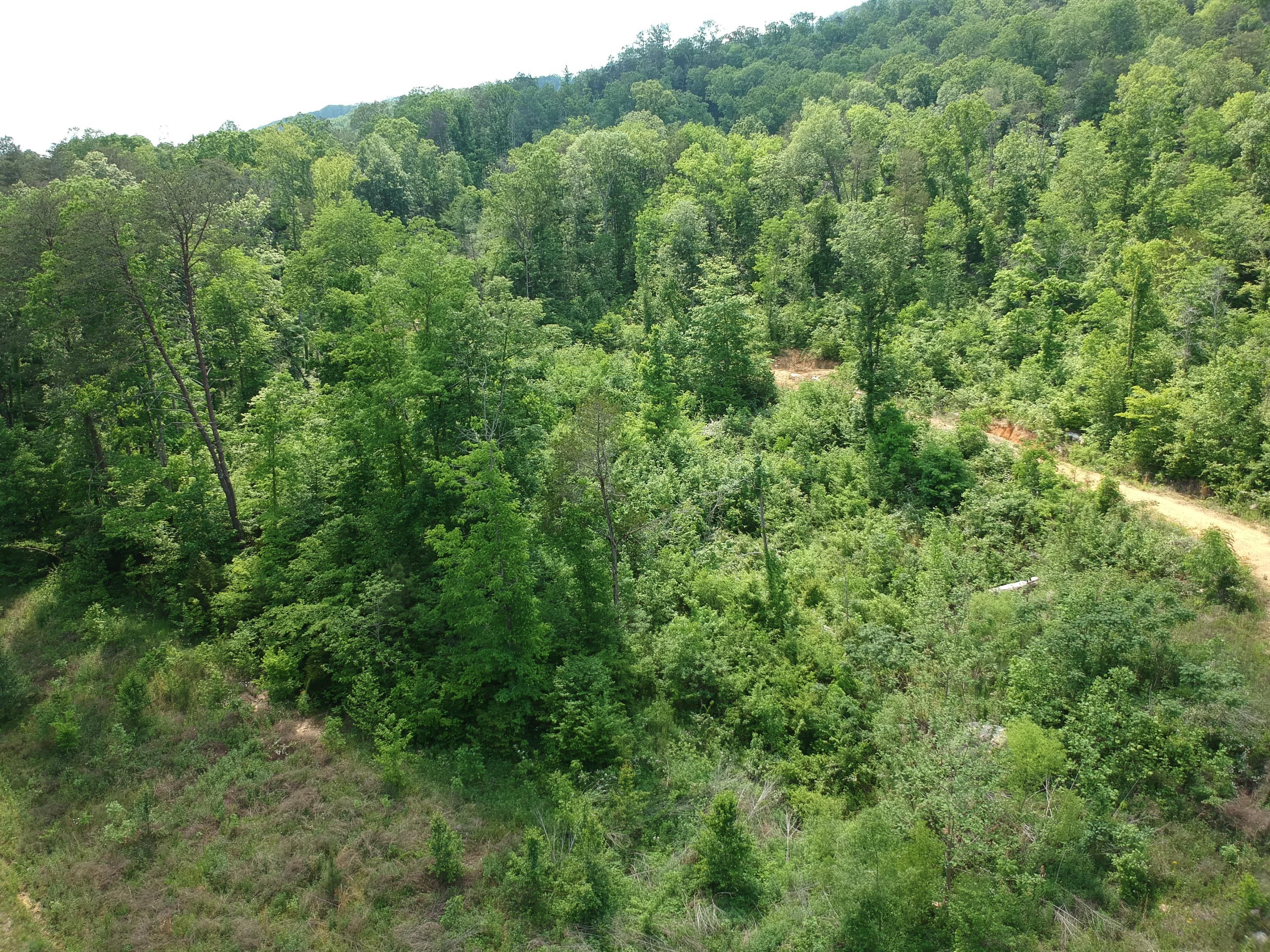 2352 Byrds Chapel Road Rising Fawn, GA 30738 - Photo 13 of 40 DJI_0091