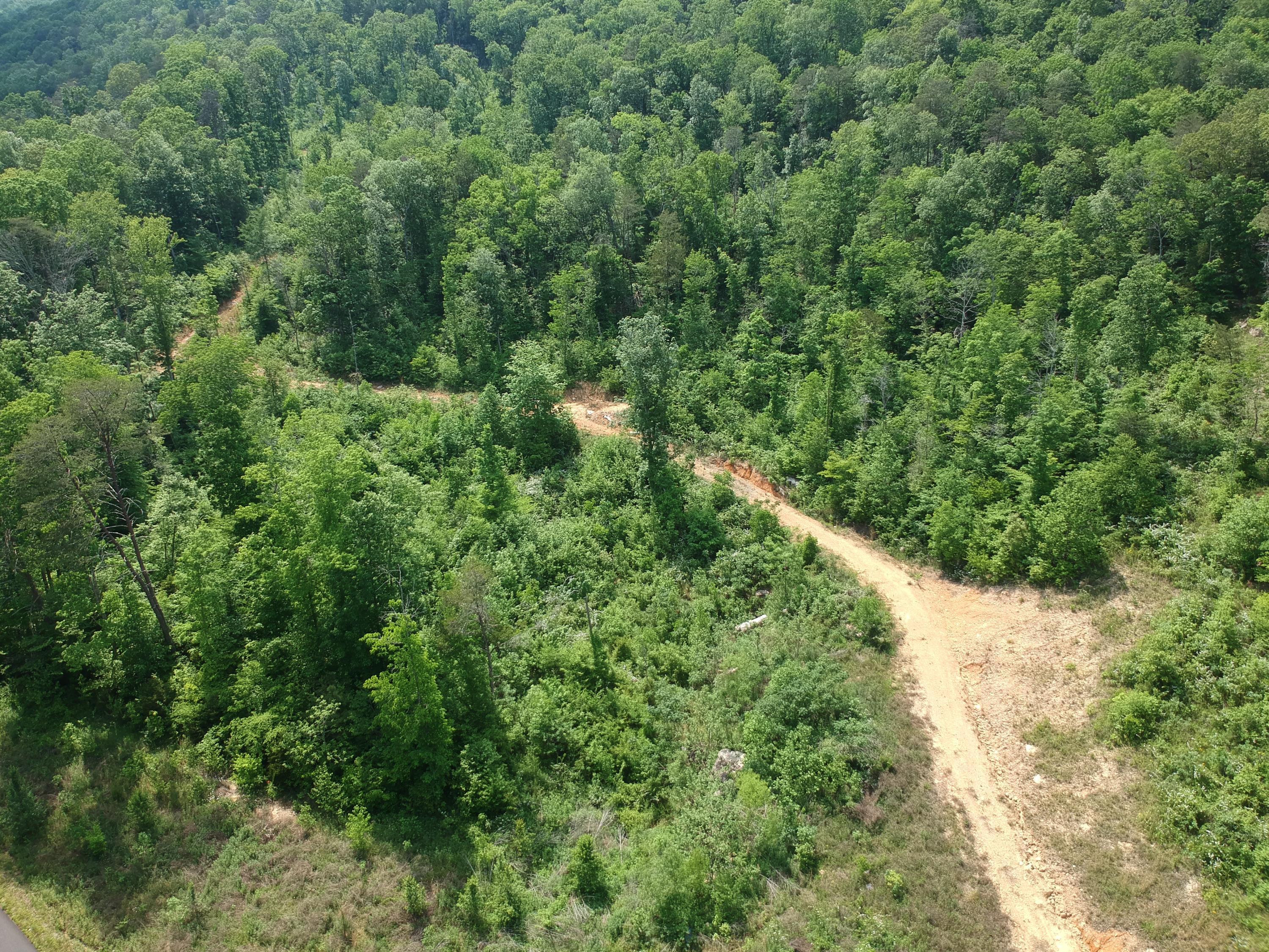2352 Byrds Chapel Road Rising Fawn, GA 30738 - Photo 15 of 40 DJI_0096