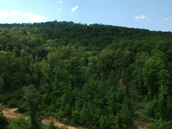 $419,000 | 2352 Byrds Chapel Road, Rising Fawn, GA 30738