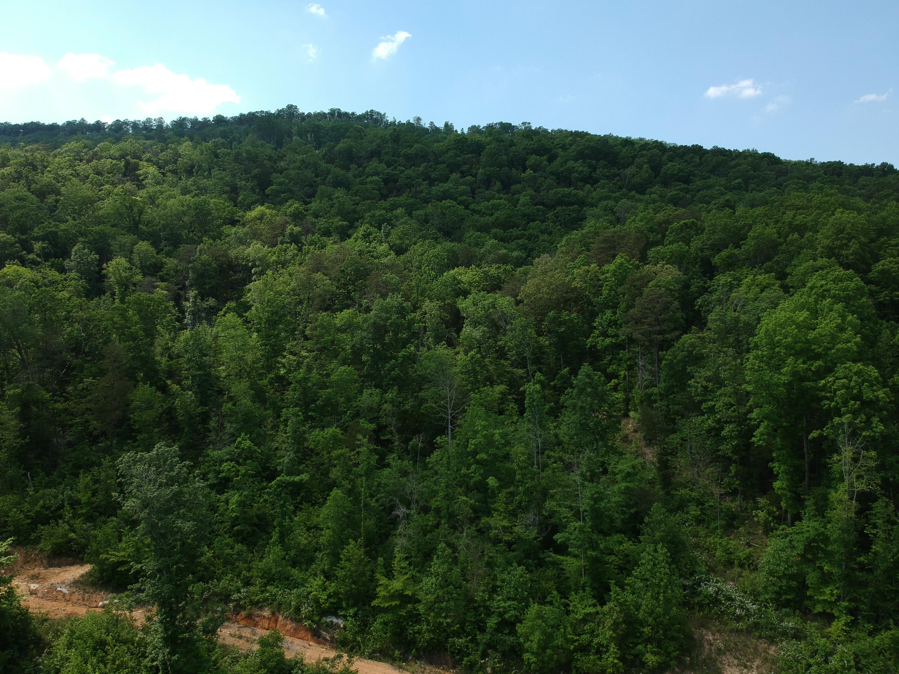 2352 Byrds Chapel Road Rising Fawn, GA 30738 - Photo 16 of 40 DJI_0098