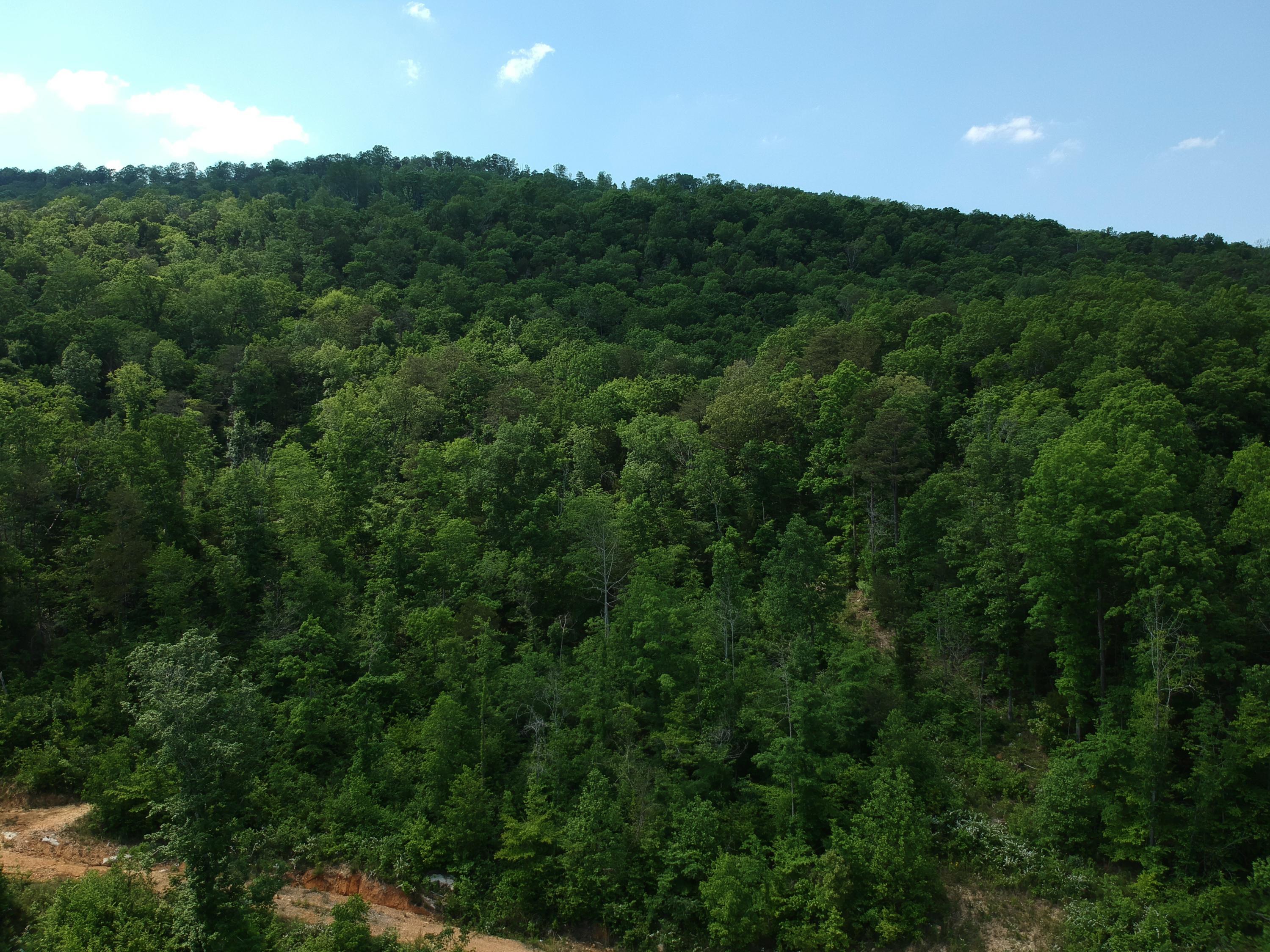2352 Byrds Chapel Road Rising Fawn, GA 30738 - Photo 17 of 40 DJI_0099