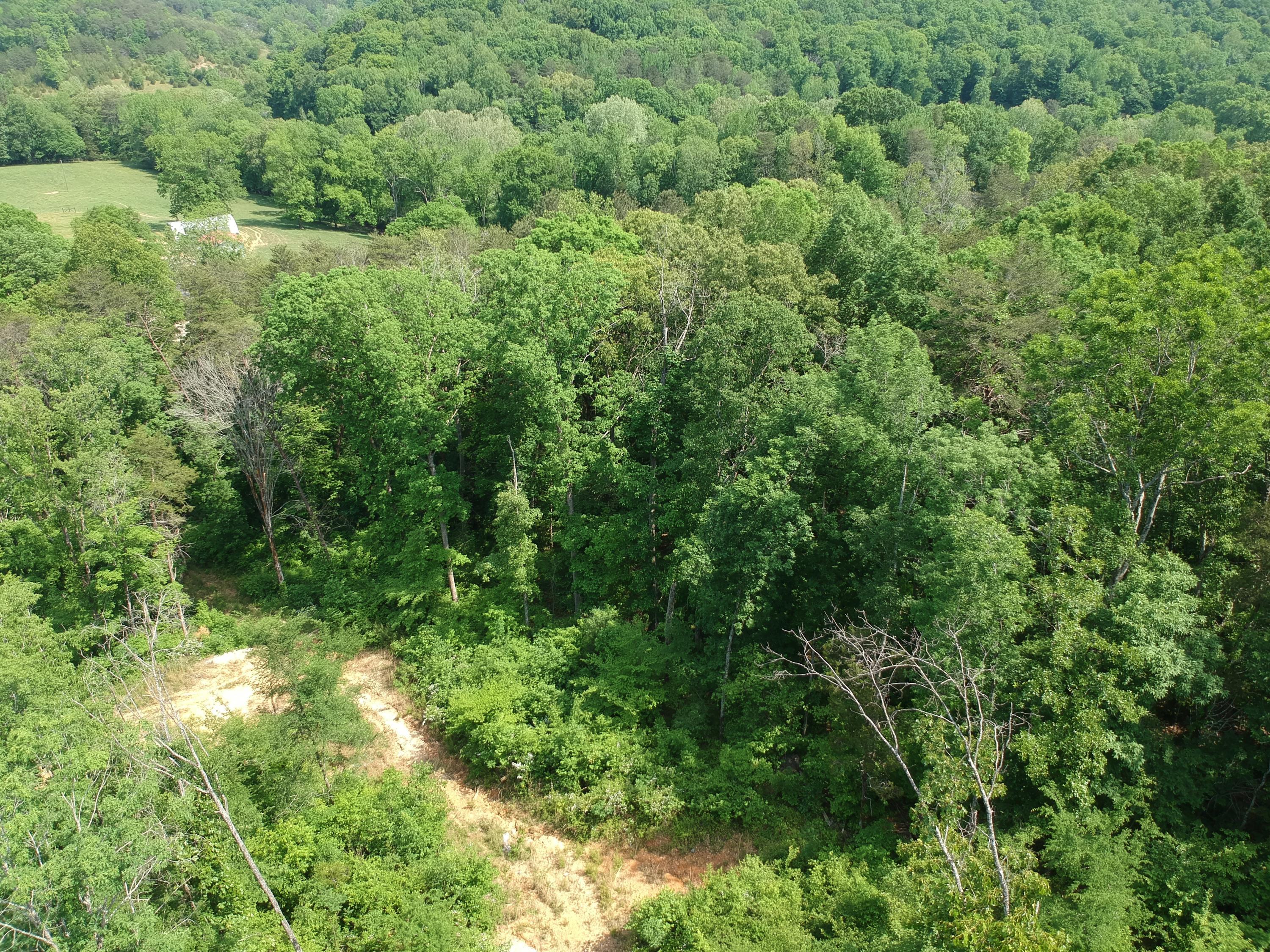 2352 Byrds Chapel Road Rising Fawn, GA 30738 - Photo 18 of 40 DJI_0103