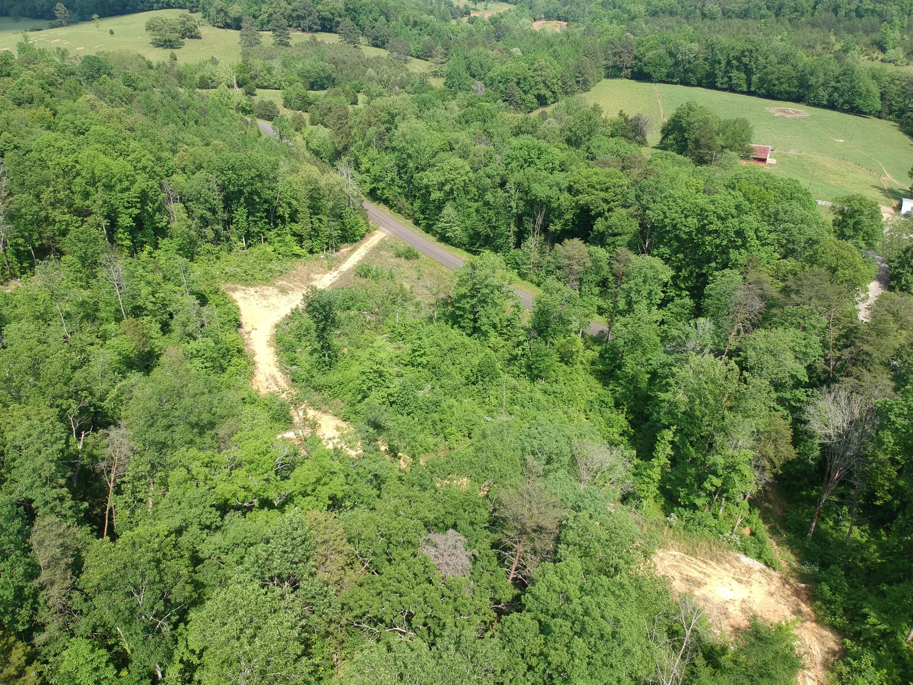2352 Byrds Chapel Road Rising Fawn, GA 30738 - Photo 19 of 40 DJI_0106