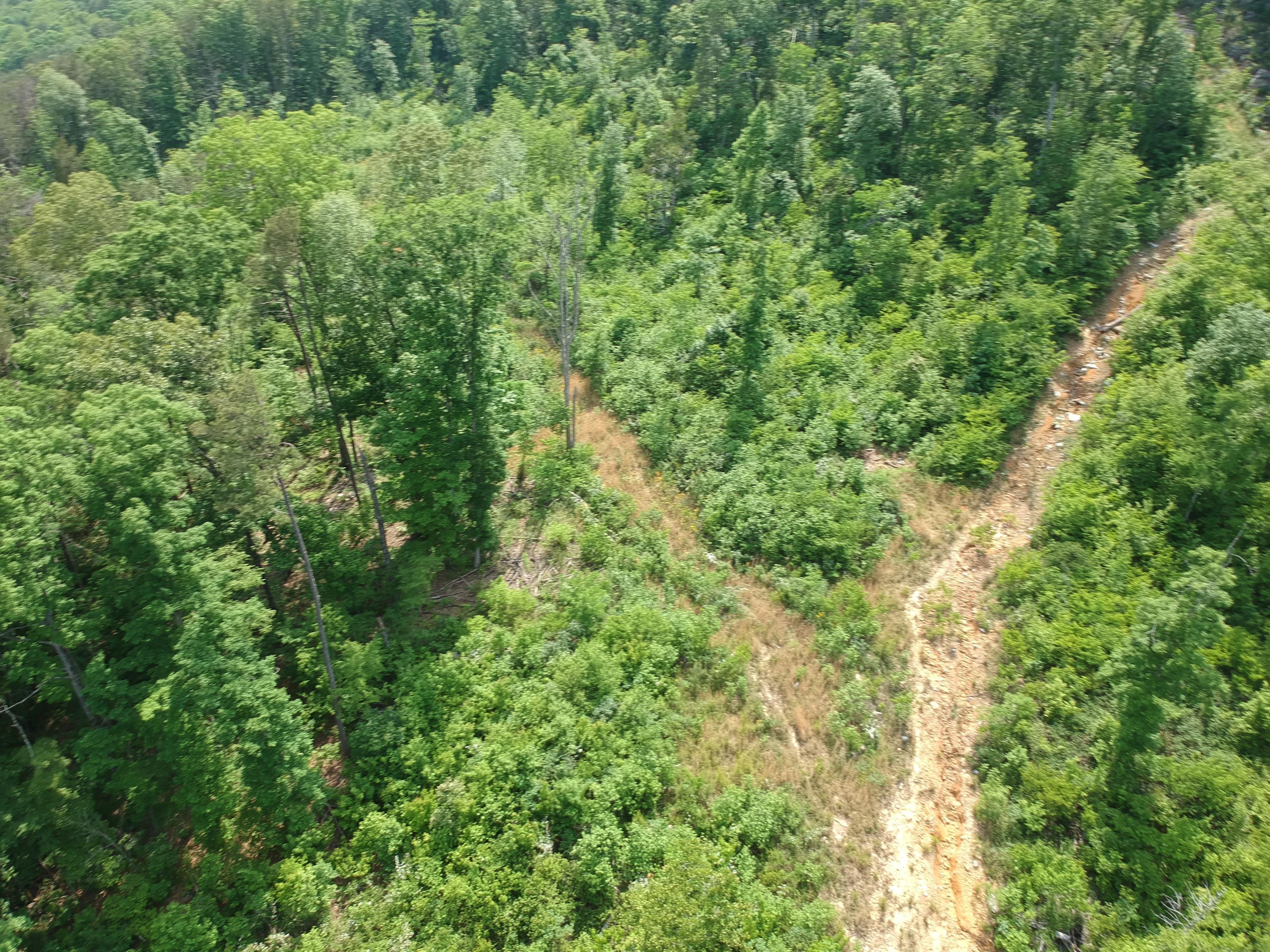 2352 Byrds Chapel Road Rising Fawn, GA 30738 - Photo 20 of 40 DJI_0107