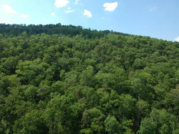 $419,000 | 2352 Byrds Chapel Road, Rising Fawn, GA 30738