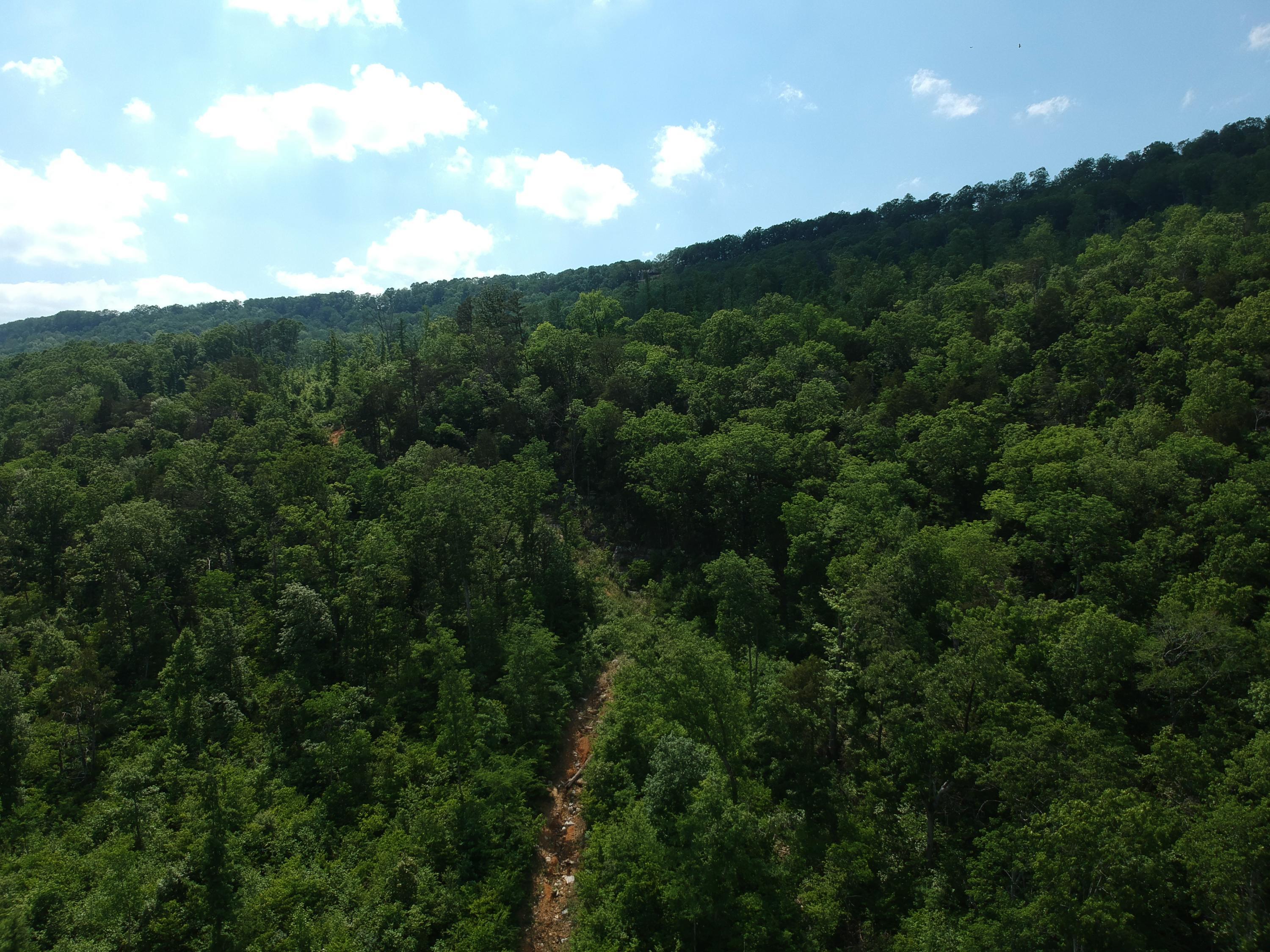 2352 Byrds Chapel Road Rising Fawn, GA 30738 - Photo 22 of 40 DJI_0109