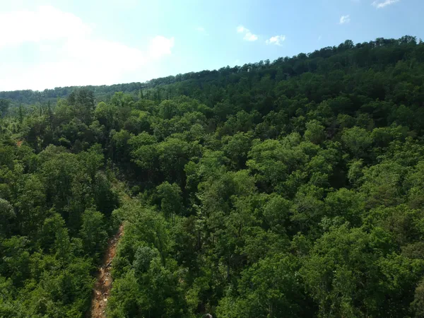 $419,000 | 2352 Byrds Chapel Road, Rising Fawn, GA 30738