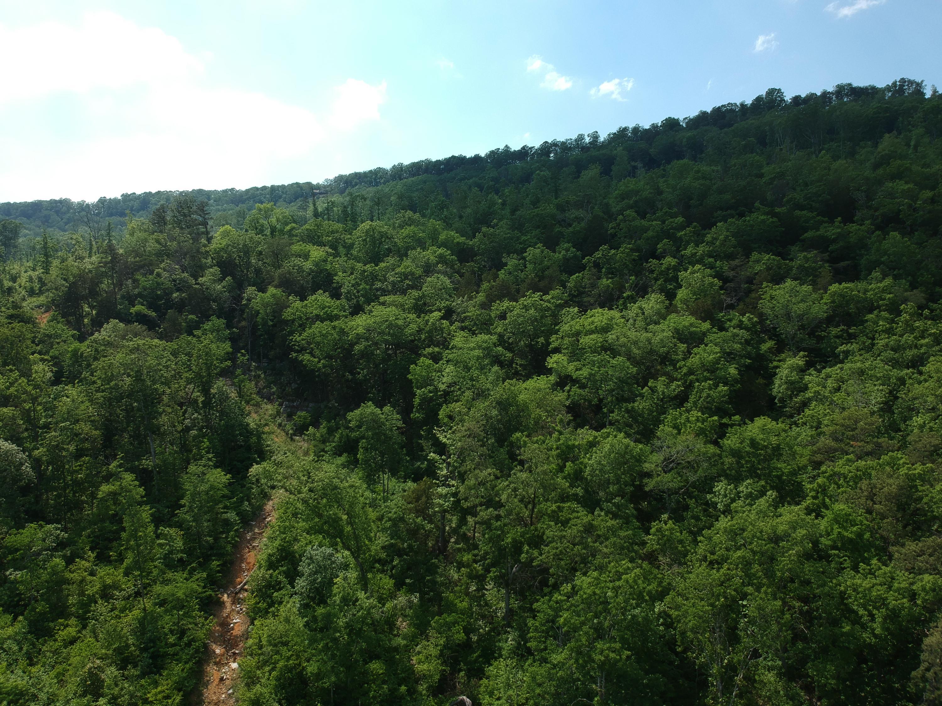 2352 Byrds Chapel Road Rising Fawn, GA 30738 - Photo 23 of 40 DJI_0111