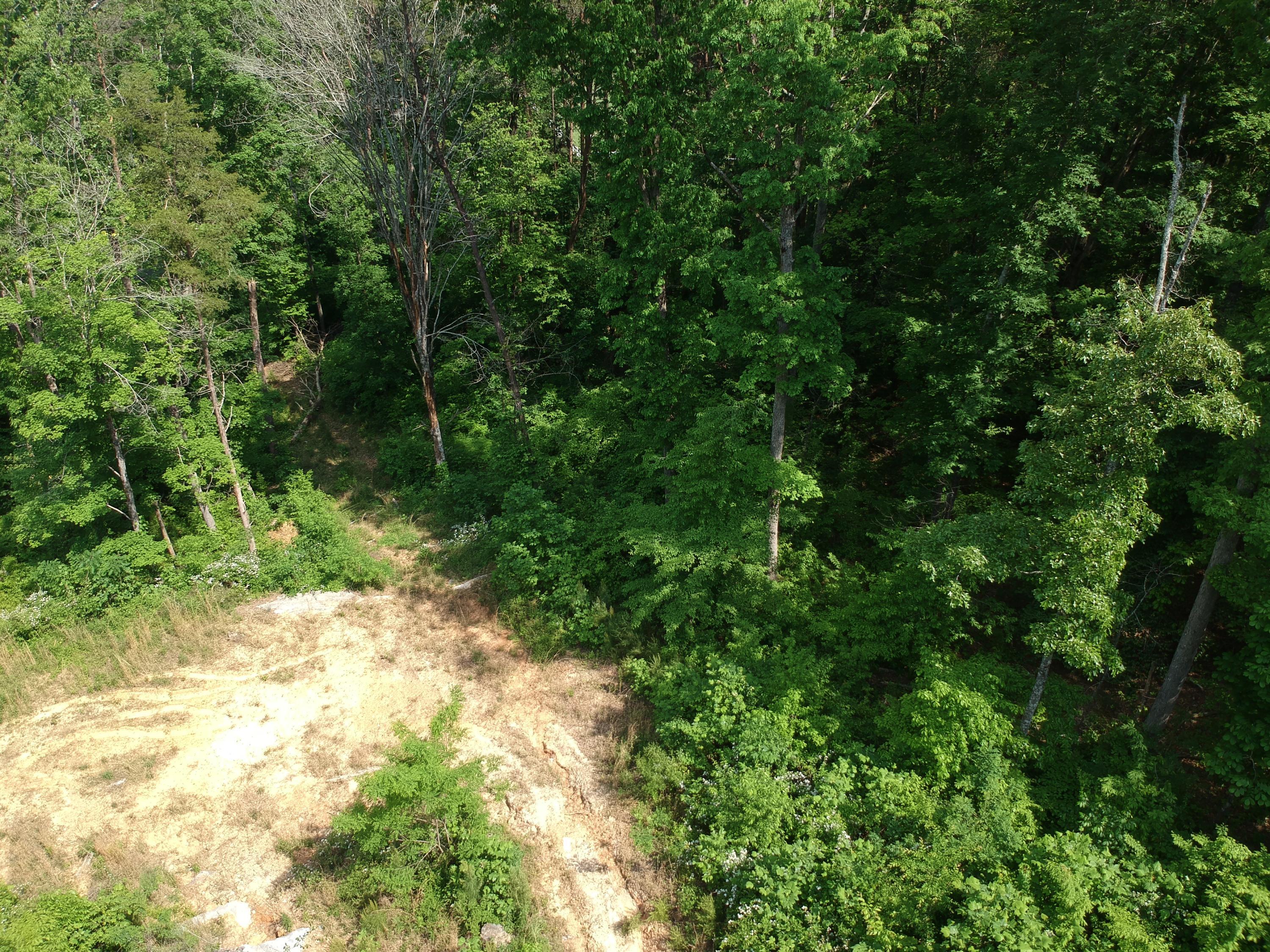2352 Byrds Chapel Road Rising Fawn, GA 30738 - Photo 26 of 40 DJI_0116
