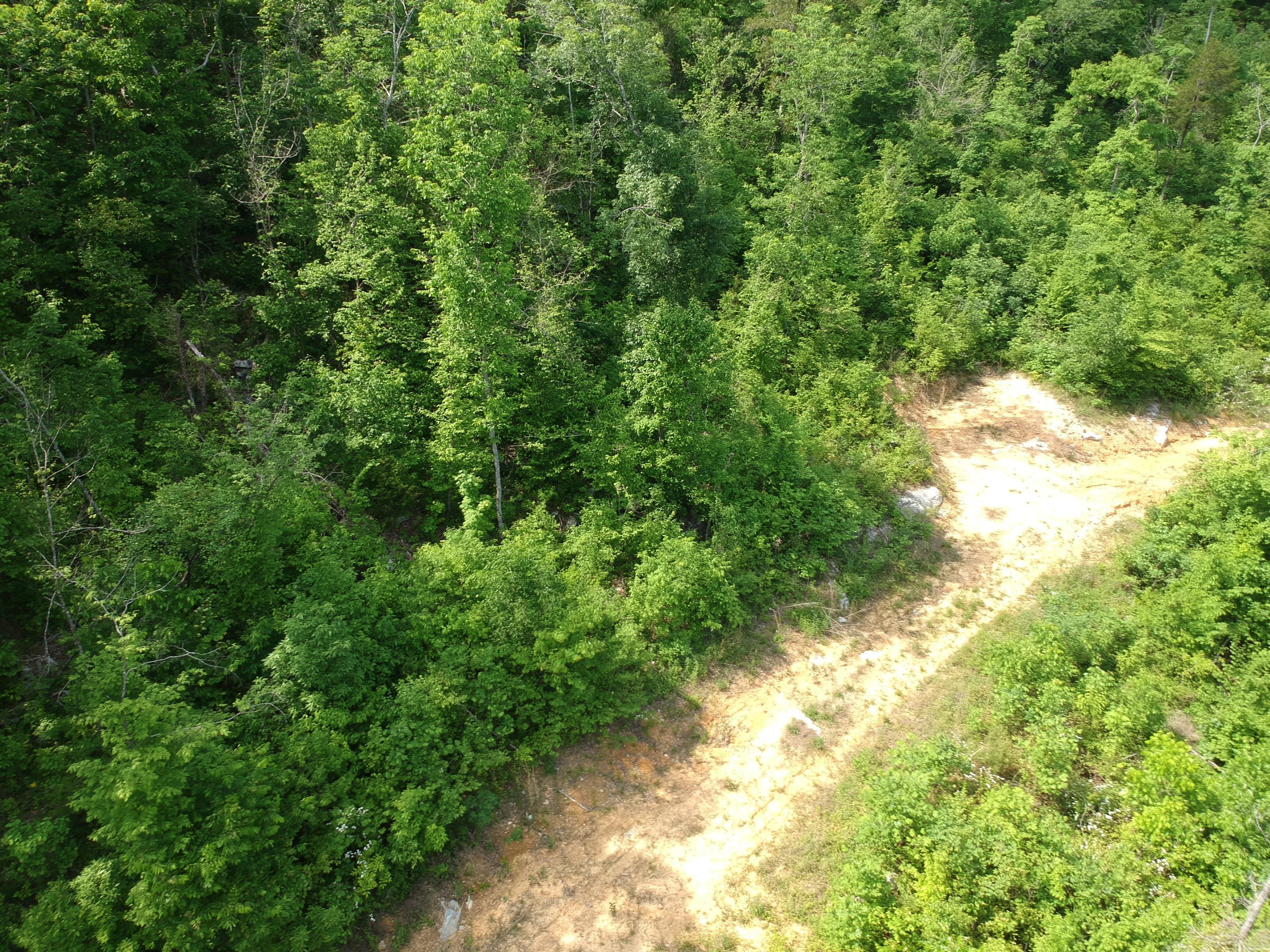 2352 Byrds Chapel Road Rising Fawn, GA 30738 - Photo 29 of 40 DJI_0122