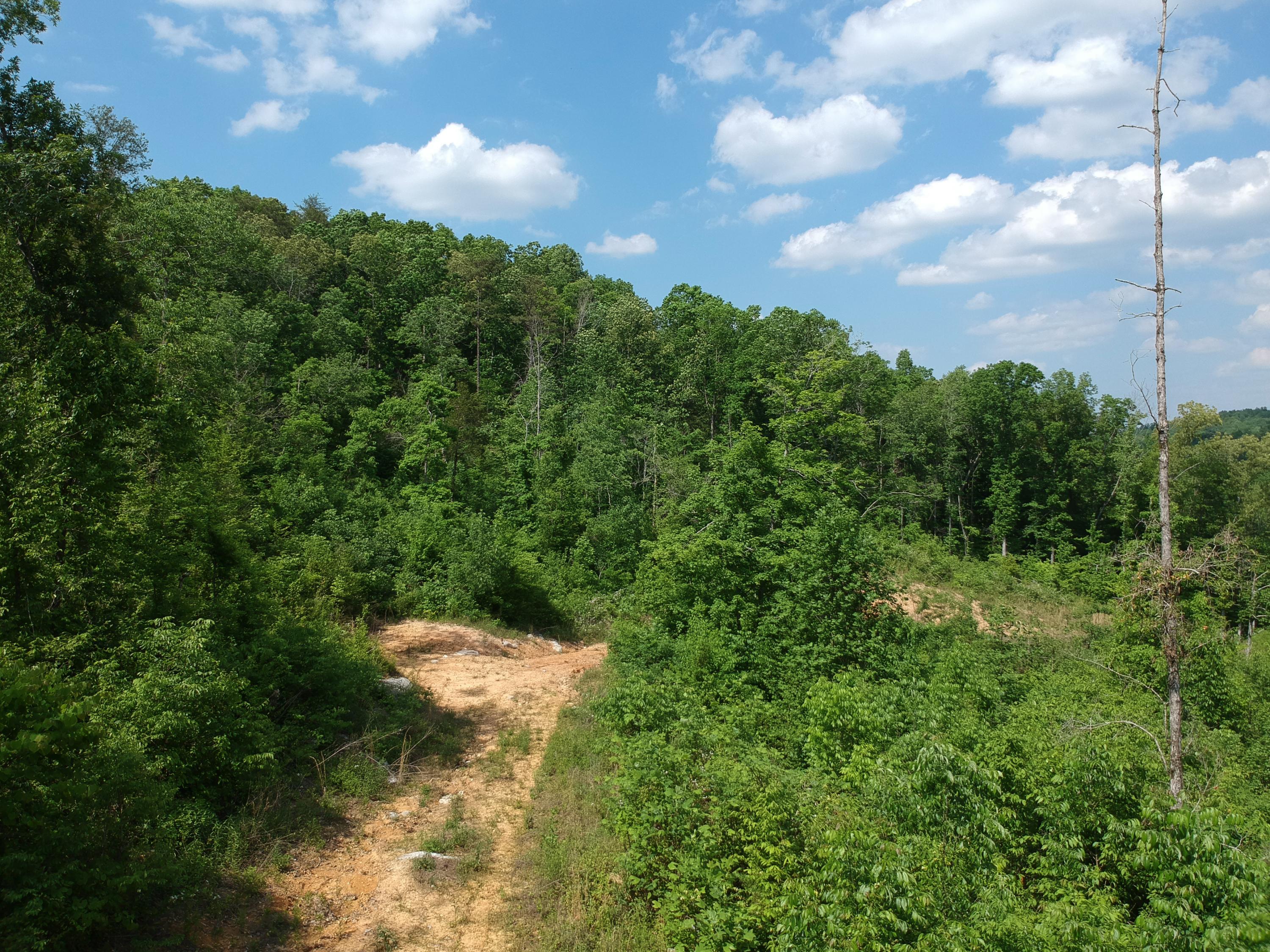 2352 Byrds Chapel Road Rising Fawn, GA 30738 - Photo 32 of 40 DJI_0128