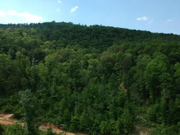 $419,000 | 2352 Byrds Chapel Road, Rising Fawn, GA 30738