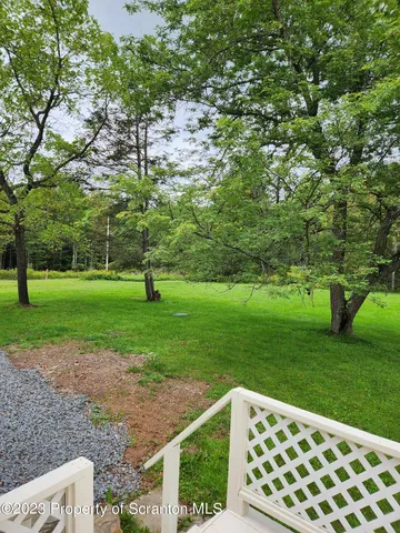 a green field with lots of trees