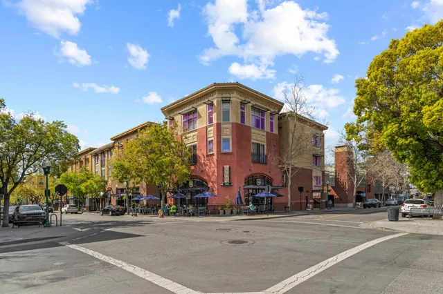 a view of a park with large trees