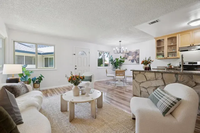 a living room with furniture potted plant and a window