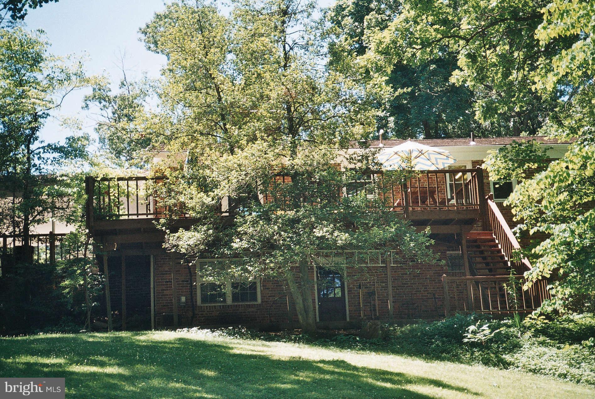 2001 Norvale Road Silver Spring, MD 20906 - Photo 3 of 22 Exterior (Rear)
