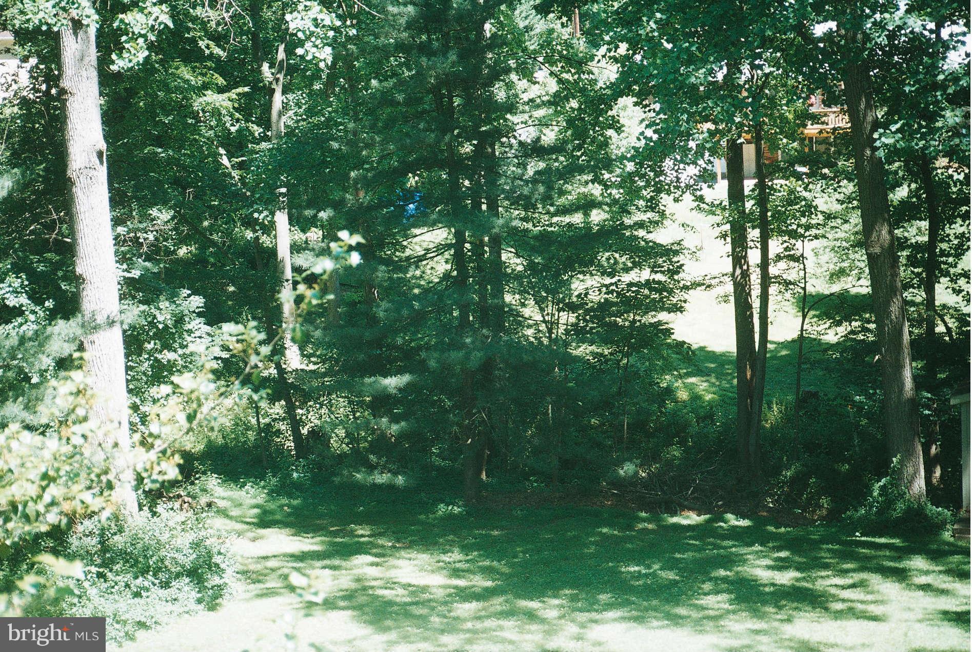 2001 Norvale Road Silver Spring, MD 20906 - Photo 22 of 22 View