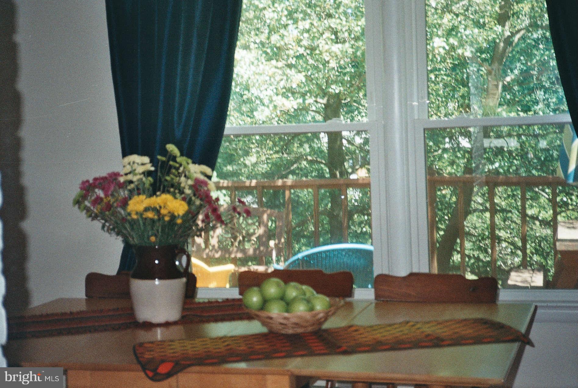 2001 Norvale Road Silver Spring, MD 20906 - Photo 7 of 22 Dining Room