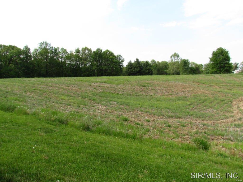 5562 Seminary Road Alton, IL 62002 - Photo 10 of 36 Gallery Image 10